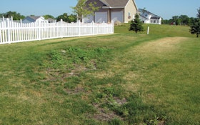 Should the Grass Be Greener Over the Septic Field?