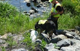 Dogs Sniff Out Wastewater Leaks That Threaten The Environment